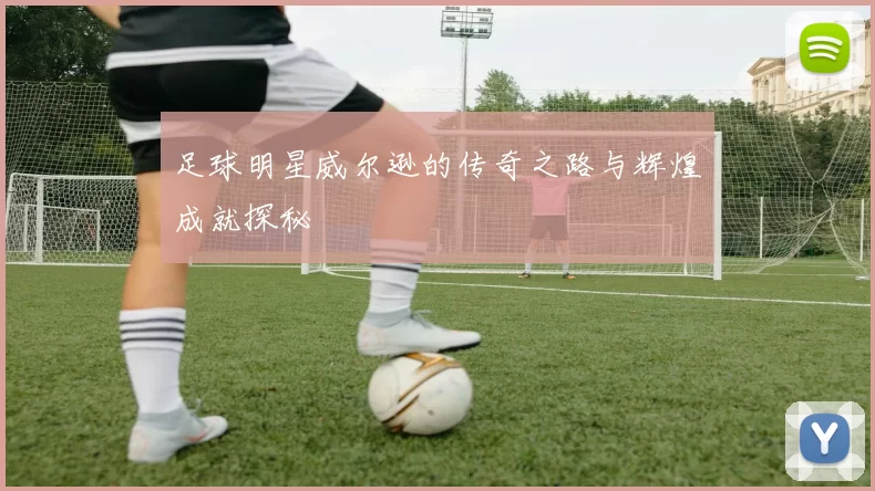 足球明星威尔逊的传奇之路与辉煌成就探秘