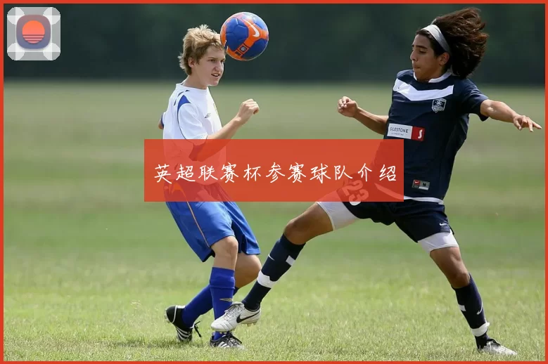 英超联赛杯参赛球队介绍